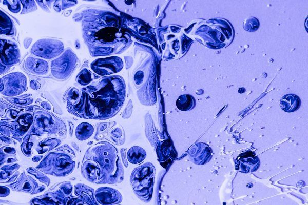 cellule viste al microscopio