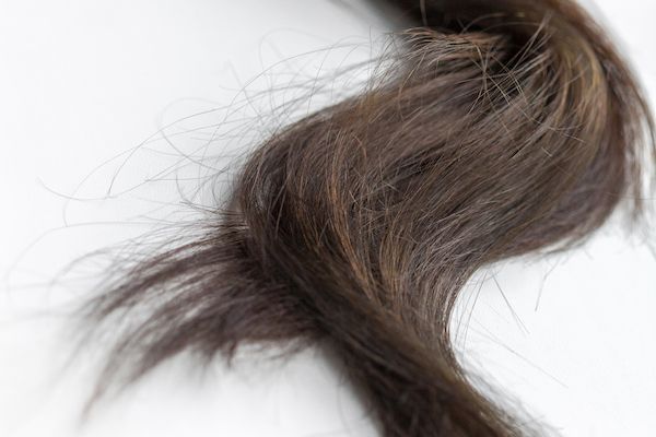 Ciocca di capelli castano scuro fini e danneggiati.