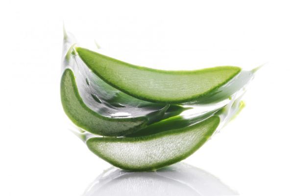 Foglie di aloe tagliate a metà